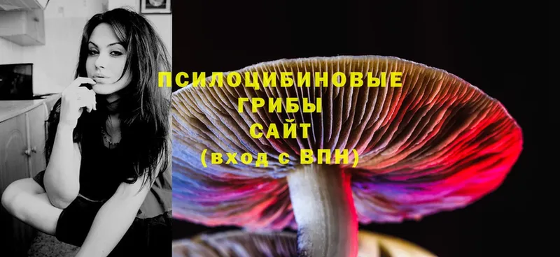 Галлюциногенные грибы MAGIC MUSHROOMS  MEGA ссылка  Нижние Серги  купить наркотики цена 